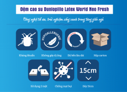 Đệm cao su Dunlopillo Latex World Neo Fresh 15cm#7