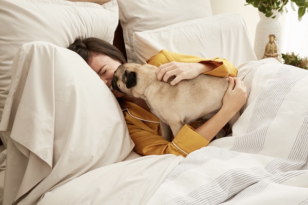 Giật mình với hàng loạt rủi ro khi ngủ cùng thú cưng