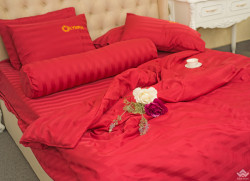 Chăn ga gối khách sạn Olympia cotton lụa 7 món OCL7M01#8