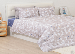 Vỏ chăn xuân thu Sông Hồng basic cotton BC23084#3