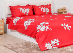 Vỏ chăn xuân thu Sông Hồng basic cotton BC23086#1