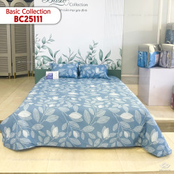 Chăn ga gối Sông Hồng Basic Cotton BC25111#4
