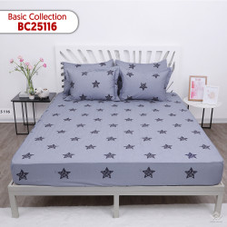 Vỏ chăn xuân thu Sông Hồng basic cotton BC25116#4