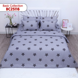 Vỏ chăn xuân thu Sông Hồng basic cotton BC25116#2