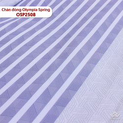 Chăn đông Olympia Spring vải cotton sợi mát OSP2508#4