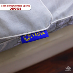 Chăn đông Olympia Spring vải cotton sợi mát OSP2502#2