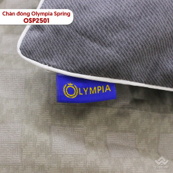 Chăn đông Olympia Spring vải cotton sợi mát OSP2501#3
