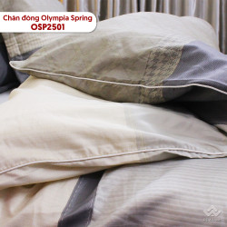 Chăn đông Olympia Spring vải cotton sợi mát OSP2501#2