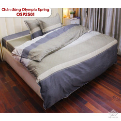 Chăn đông Olympia Spring vải cotton sợi mát OSP2501#1