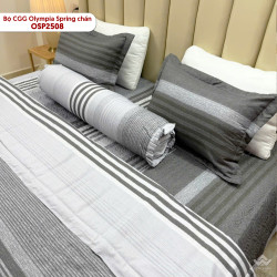 Bộ chăn ga gối Olympia Spring chần OSP2508#6