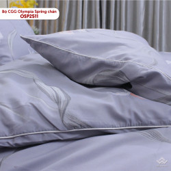 Bộ chăn ga gối Olympia Spring chần OSP2511#3