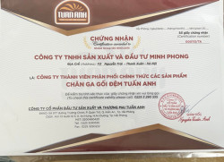 Đệm lò xo Tuấn Anh Techwood không bóc#2