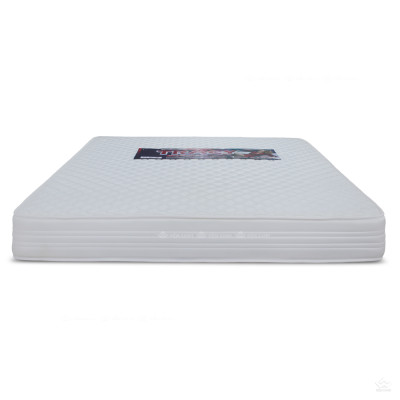 Đệm lò xo Tuấn Anh Tracy